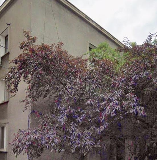 2 camere, Rahmaninov (Floreasca) - 1