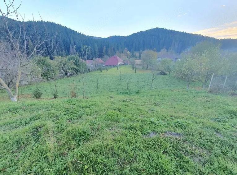 Proprietate Cracaul Negru - 2