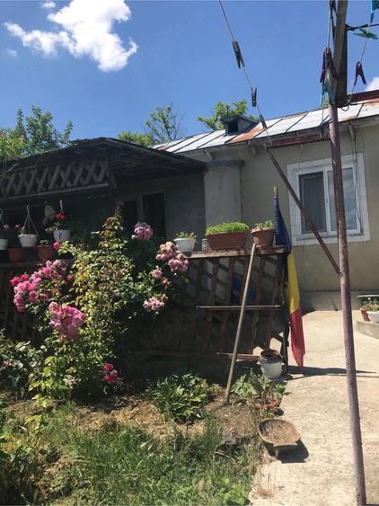 casa de vanzare - 3