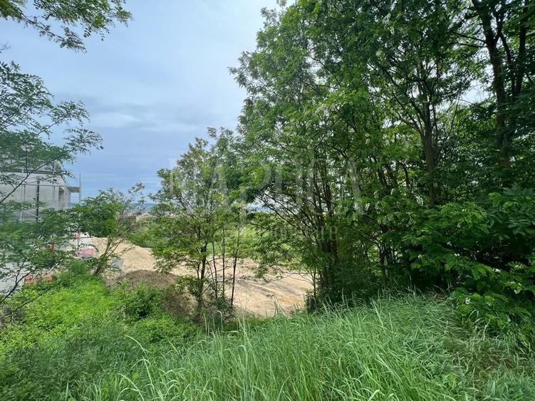 Teren Construcții intravilan de 2000 mp, în Bună Ziua