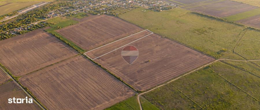Teren de 12500 mp, în Păulești