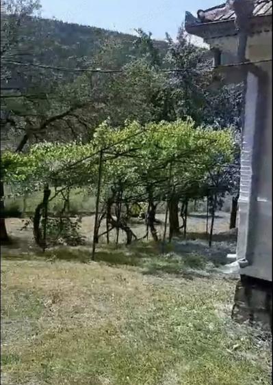 Casă cu Teren 3000 Mp în Coza