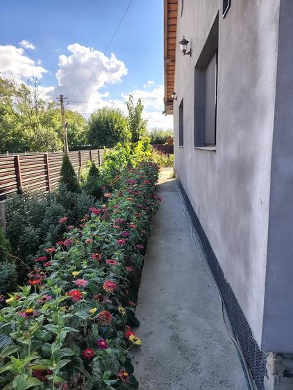 Casă cu 3 camere cu Teren 736 Mp în Brad (Berești-Bistrița)