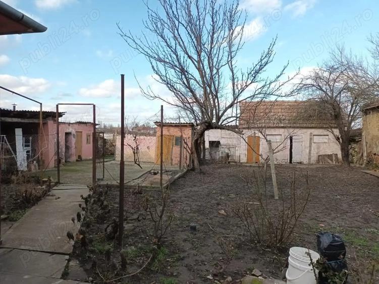 Inchiriez casa in Jimbolia - 4
