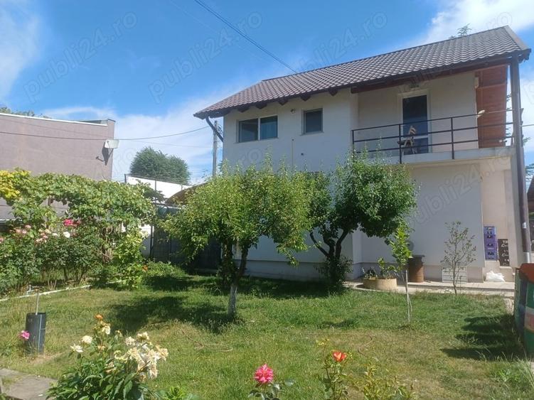 Teren de 6000 mp, în Burdujeni