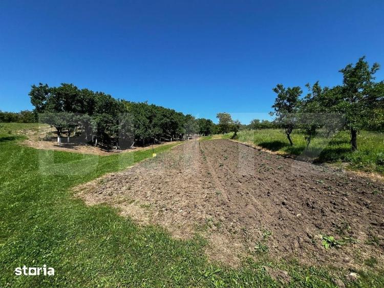 Livada in Arcalia, langa padure - 4.000 mp - 1