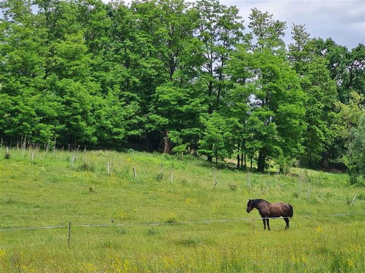 Teren intravilan de 25000 mp, în Exterior Est
