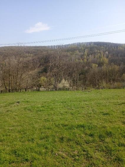 Teren Construcții intravilan de 1000 mp, în Meteș