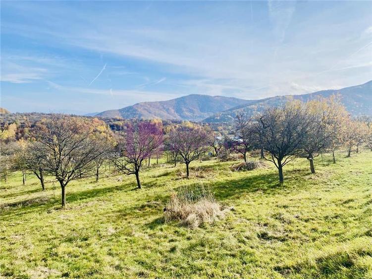 Teren intravilan de 1000 mp, în Sibiel