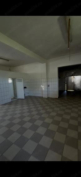 Spațiu comercial, de 268 mp, în Holod