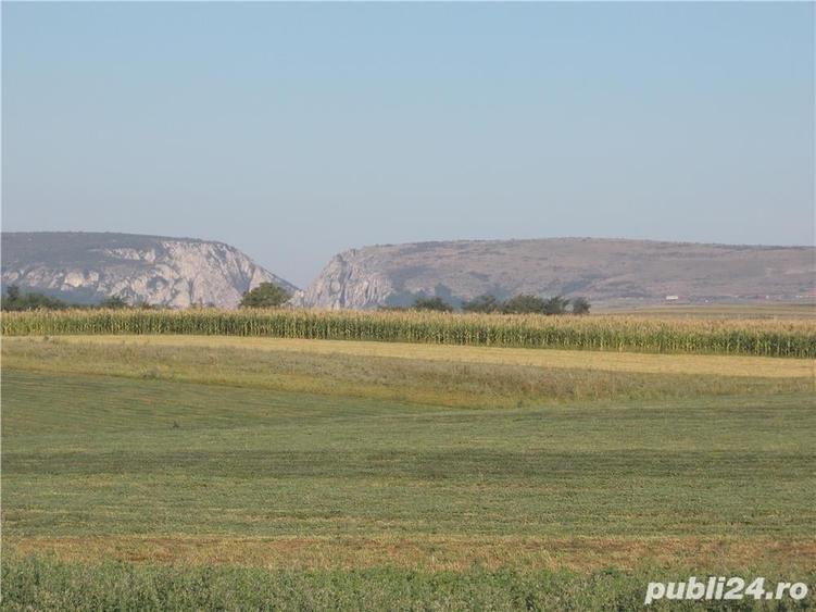 Teren de 1000 mp, în Central