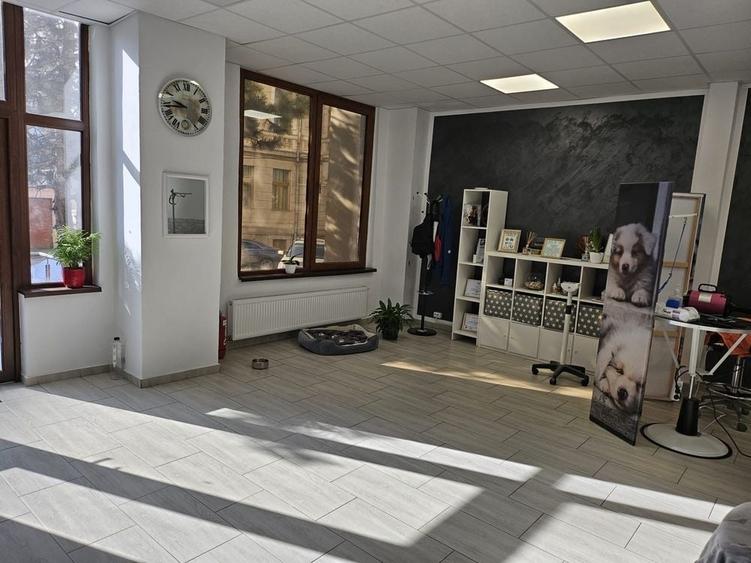 Spațiu comercial, de 57 mp, în Central