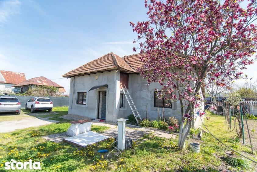 Casă cu 3 camere cu Teren 948 Mp în Bradu
