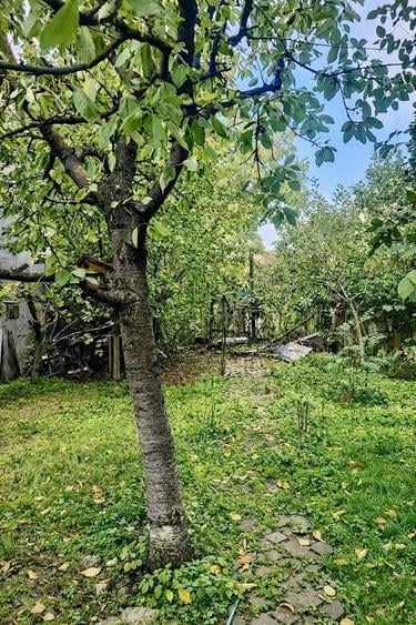 Casă cu 2 camere cu Teren 645 Mp în Aurel Vlaicu