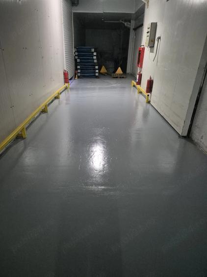 Depozit frig congelate Constanta Ovidiu - 2