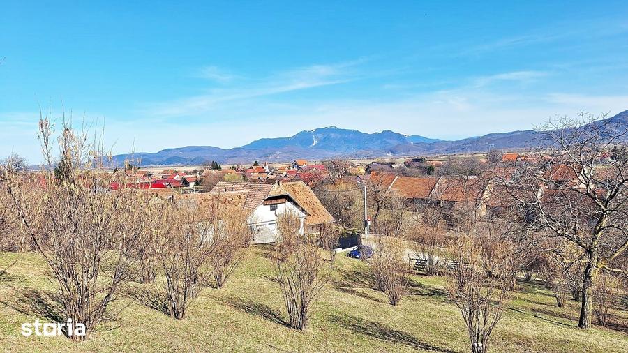 Teren de 17000 mp, în Central