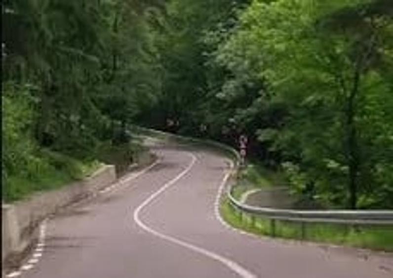 Teren de 5000 mp, în Brăești