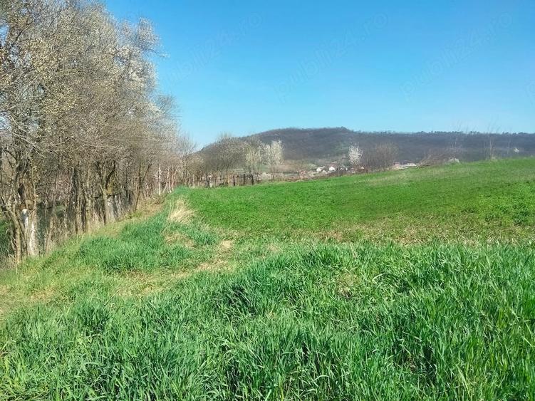 Teren de 3300 mp, în Râciu
