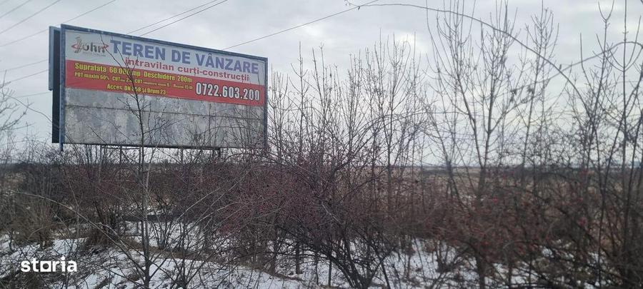 Teren de 60000 mp, în Bradu