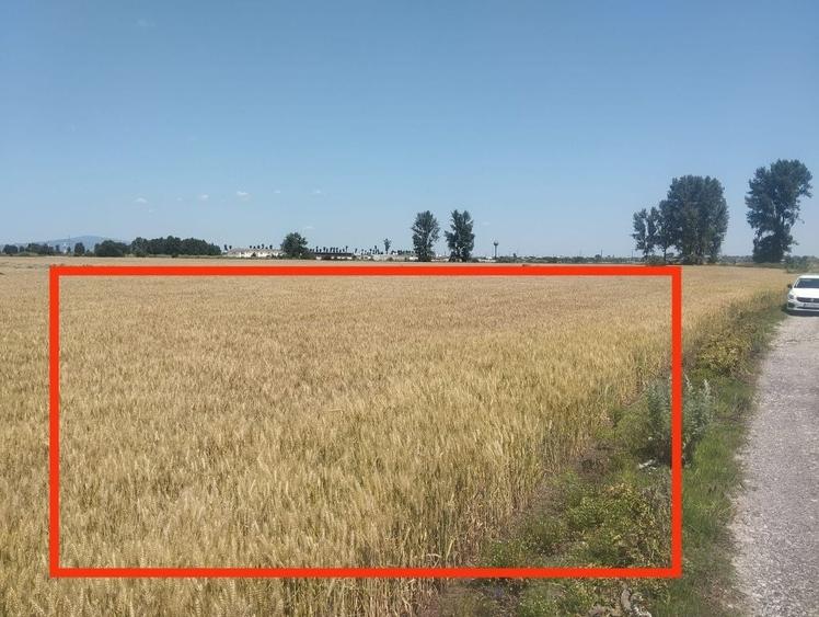 Teren de 6500 mp, în Golești
