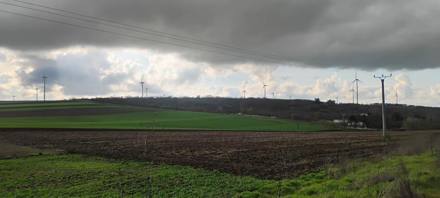 Teren agricol extravilan de 6000 mp, în Nufăru