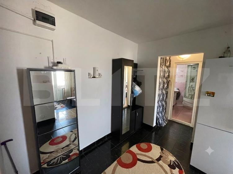 Apartament cu 2 camere decomandat, mobilat în Lăpuș Argeș