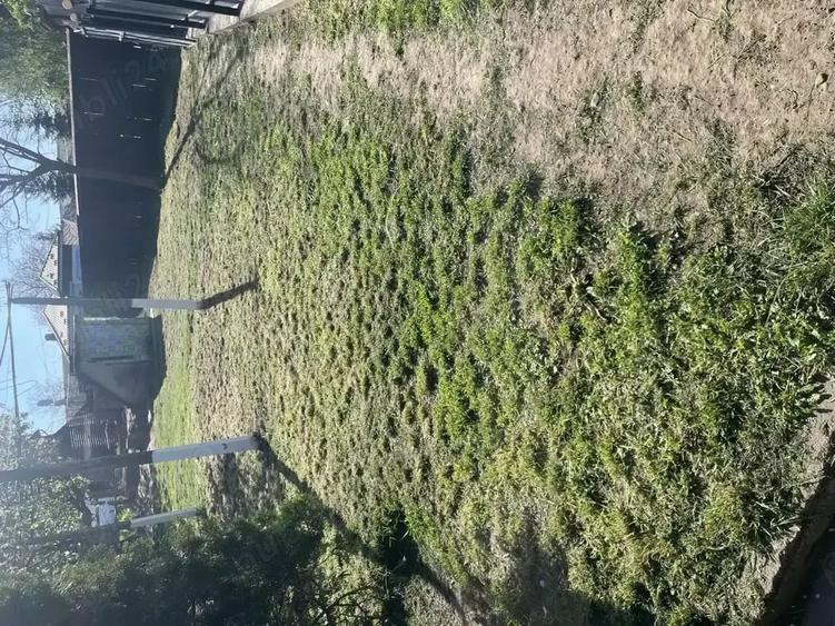 Casă cu 2 camere cu Teren 5500 Mp în Pogana