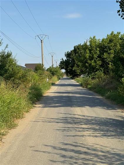 Teren Construcții intravilan de 800 mp, în Cozieni