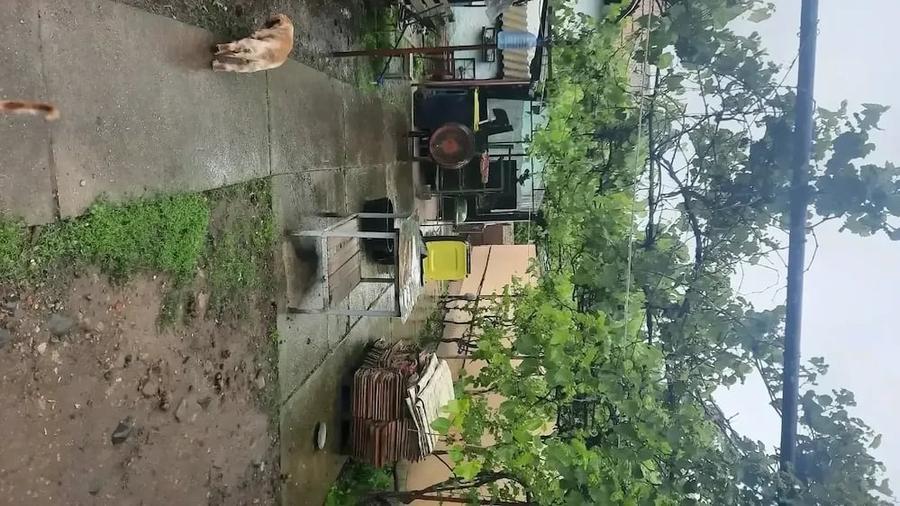 Casă cu Teren 444 Mp în Șeica Mare