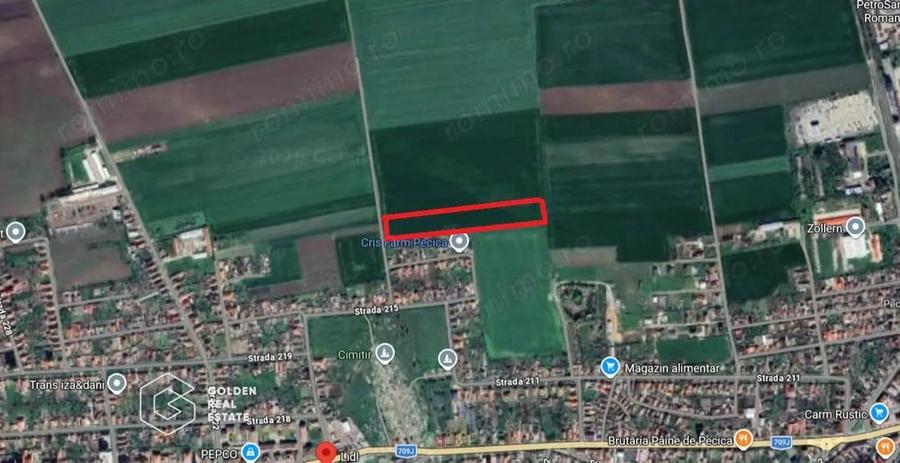 Teren de 40000 mp, în Est
