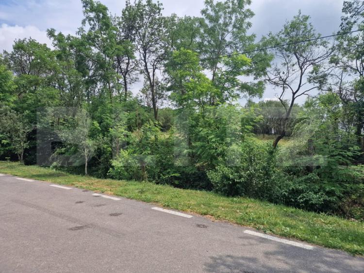 Teren de 900 mp, în Borșa