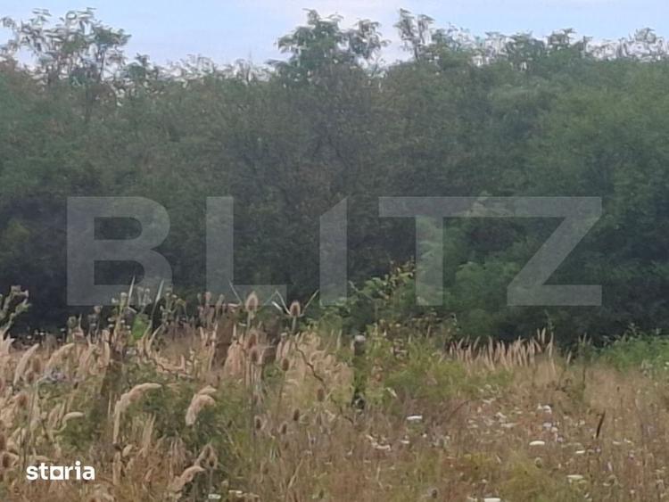 Teren de 7500 mp, în Raciu