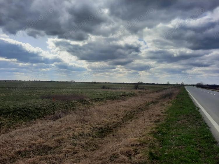 Teren de 13000 mp, în Sânmihaiu Român