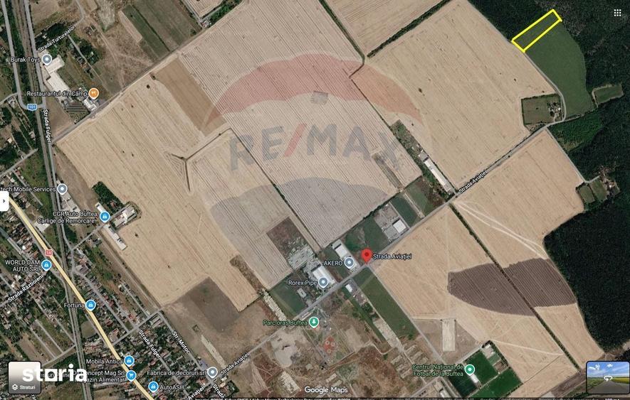 Teren intravilan Buftea la Padure - 4