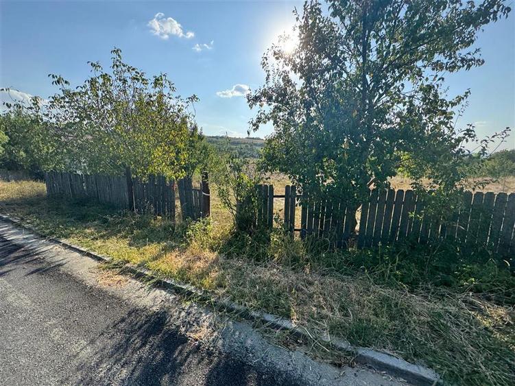 Teren intravilan de 4777 mp, în Todirel