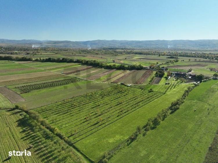 Teren de 14527 mp, în Aușeu