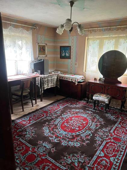 Casa de vanzare Mentii din Dos - Borascu -Turceni Gorj - 6