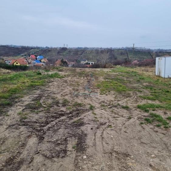 Teren Construcții intravilan de 3133 mp, în Cantemir