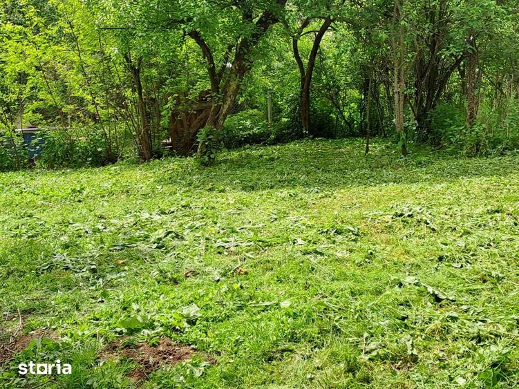Casă cu 4 camere cu Teren 2000 Mp în Recea