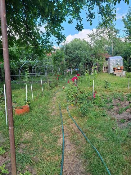 Casă cu 3 camere în Central