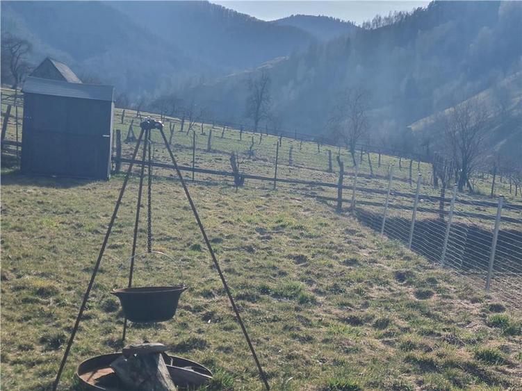 Teren intravilan de 1035 mp, în Râu Sadului