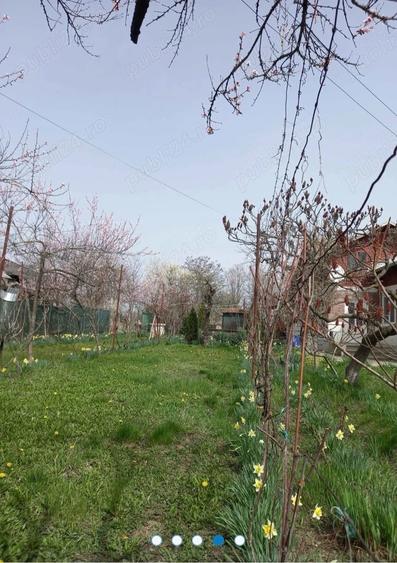 Teren de 4400 mp, în Lipănești