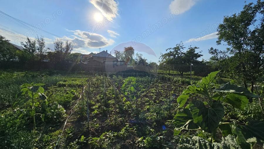 Casă cu Teren 1043 Mp în Dochia