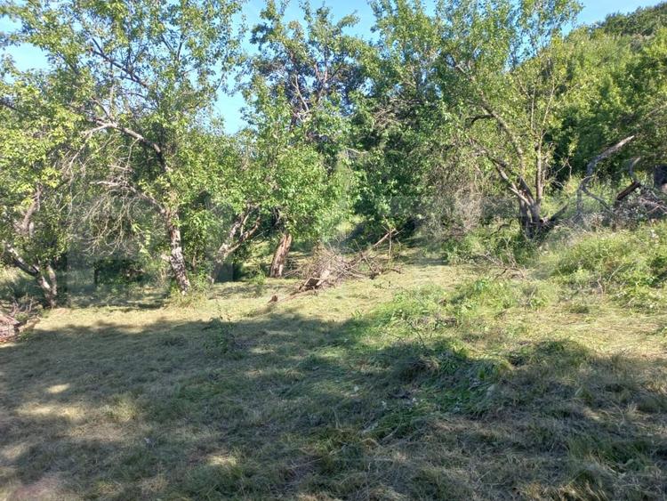 Teren Construcții intravilan de 4175 mp, în Vințu de Jos