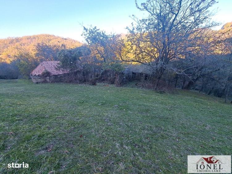 Casă cu 2 camere cu Teren 17399 Mp în Valea Vințului