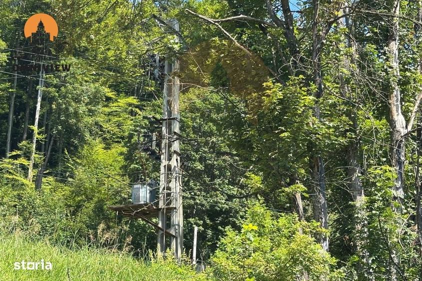 Teren 2.160 mp in Predeal cu platforma betonata 1.000 mp si post trafo - 11