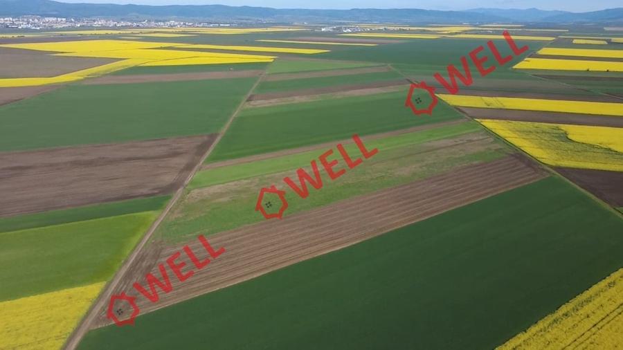 Teren extravilan de 68800 mp, în Sântionlunca