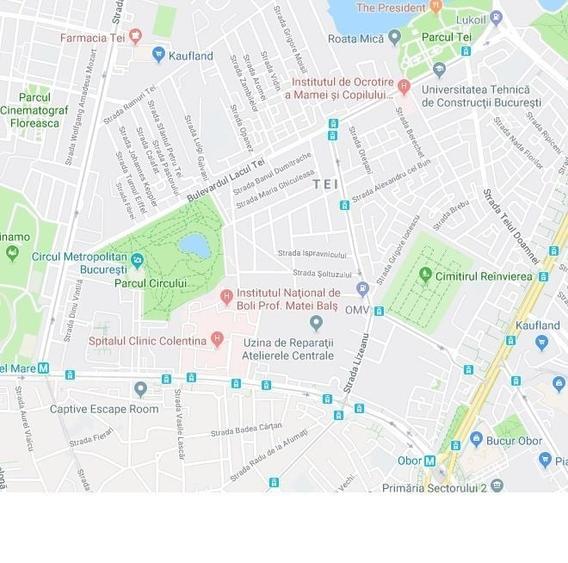 Spațiu comercial, de 30 mp, în Tei
