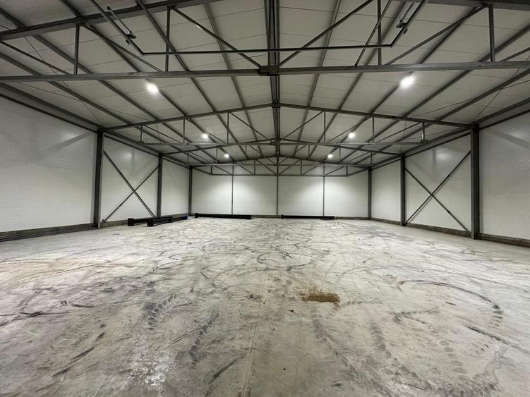 Hale de inchiriat, 595 mp, depozitare/logistica, Centura (DNCB), A2.  Ocazie! - 3
