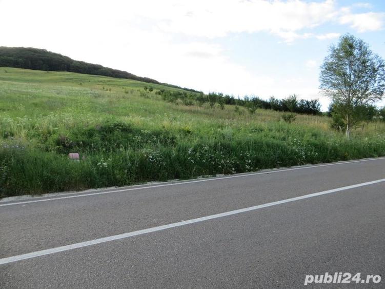 Teren de 3600 mp, în Gârcina